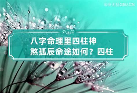 孤虛煞|八字神煞解析——孤鸞煞